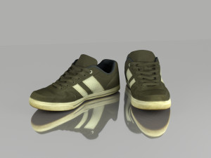 skater shoes Model 3D