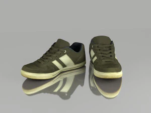 skater shoes 3D Model
