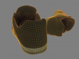 skater shoes Model 3D