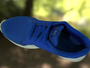 sneaker 3D Model