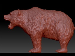 bear Modèles 3D en vedette