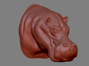 hippopotamus head 3D Print Model