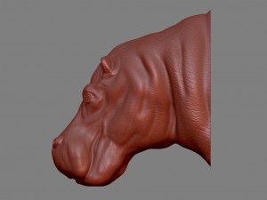 hippopotamus head Modello di stampa 3D