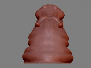 hippopotamus head 3D Print Model