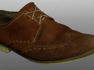 shoe 3D Model