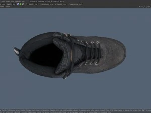 boot 3D Model