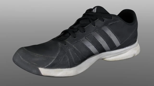sneaker 3D Model .c4d .max .obj .3ds .fbx .stl .blend 