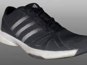 sneaker 3D Model