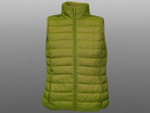 vest 3D Model