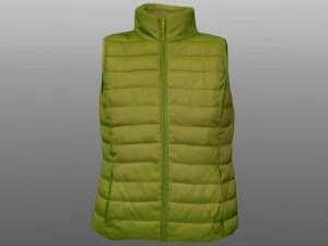 vest 3D Model