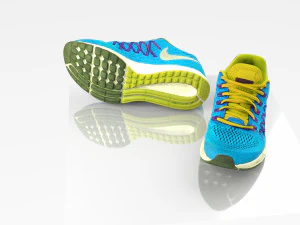 pair of shoes 3D Model