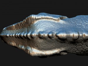 t-rex head for print Modello di stampa 3D
