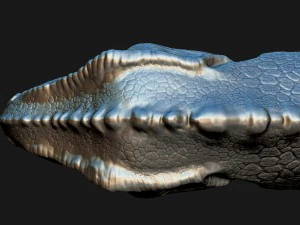 t-rex head for print 3D Print Model