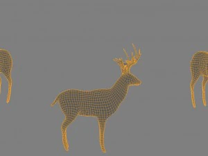 maglia di base low poly di cervo Modello 3D