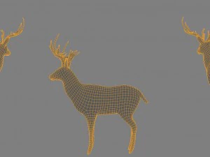 maglia di base low poly di cervo Modello 3D