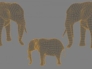 elephant low poly base mesh 3D Model