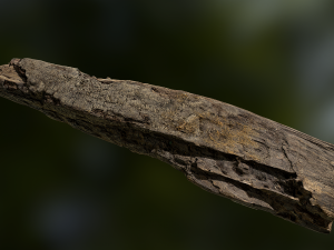 old rotten wood low poly model Modèle 3D