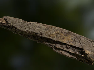 velho modelo de baixo poli de madeira podre Modelo 3D