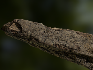 old rotten wood low poly model Modello 3D