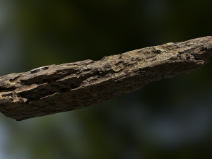 old rotten wood low poly model Modello 3D