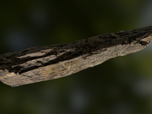 old rotten wood low poly model Modello 3D
