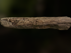 old rotten wood low poly model Modello 3D