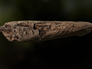 old rotten wood low poly model Modello 3D