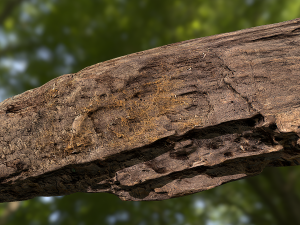 old rotten wood low poly model Modello 3D