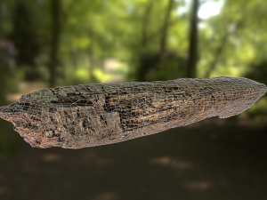 old rotten wood low poly model Modello 3D