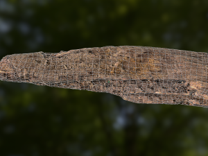 old rotten wood low poly model Modello 3D