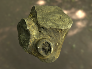 old tree stump low poly 3D Модель