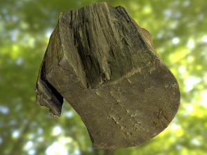 old tree stump low poly 3D Модель