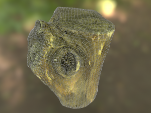 old tree stump low poly 3D Модель