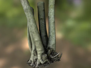 fig tree environment low poly model 3D Model