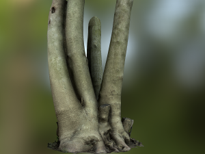 fig tree environment low poly model 3D 모델