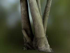 fig tree environment low poly model 3D 모델