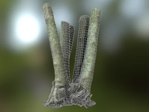 fig tree environment low poly model 3D Model