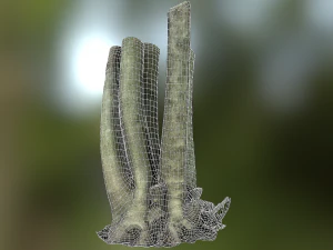 fig tree environment low poly model 3D Model