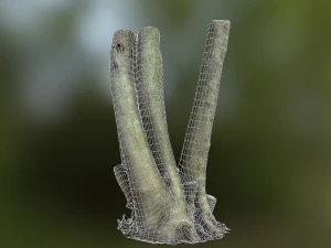 fig tree environment low poly model 3D Model