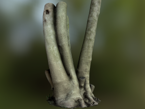fig tree environment low poly model 3D 모델