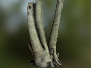 fig tree environment low poly model 3D Model
