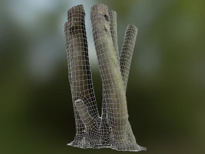 fig tree environment low poly model 3D Model