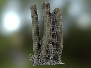 fig tree environment low poly model 3D 모델