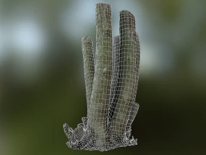 fig tree environment low poly model 3D Model