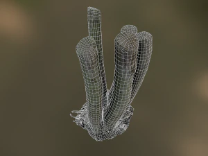 fig tree environment low poly model 3D Model