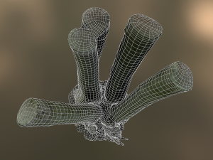 fig tree environment low poly model 3D 모델