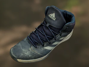 worn sneaker shoe low poly model 3D Model
