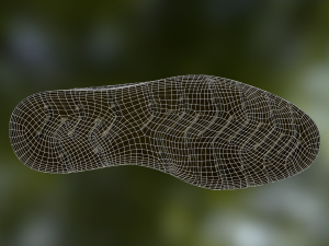 shoe low poly model Modèle 3D