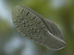 worn reebok sneaker shoe low poly model 3D Model