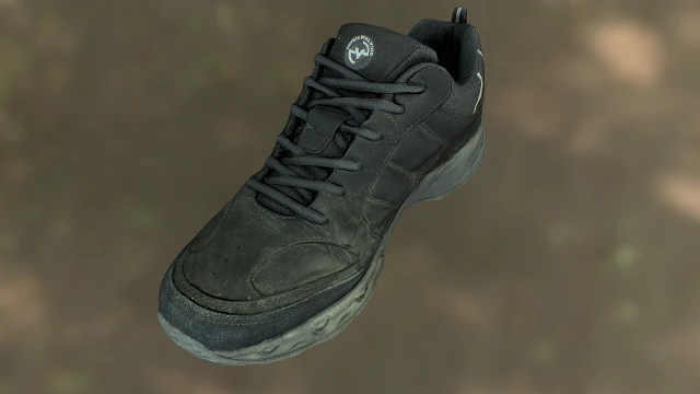 worn sneaker shoe low poly model 3D Model .c4d .max .obj .3ds .fbx .stl .blend